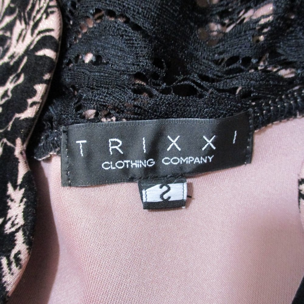 Trixxi Junior's Velveteen Rose Fit and Flare Short Dress - Picture 7 of 8